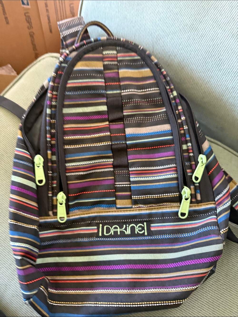 Dakine Black Striped Backpack with Lime Accents